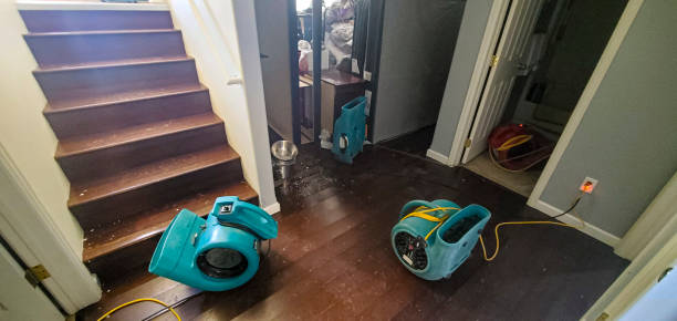 Best 24-hour water damage restoration  in Margate, FL