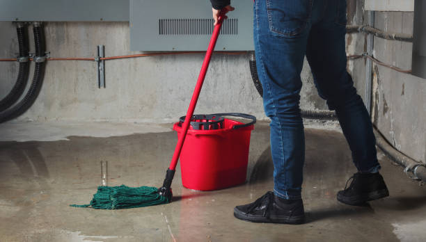 Best Water damage restoration near me  in Margate, FL