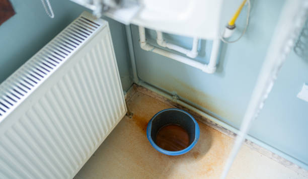 Best Local water damage restoration  in Margate, FL