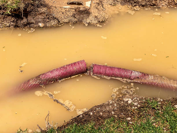  Margate, FL Water damage restoration Pros
