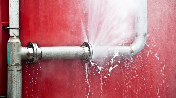 Best Basement water damage restoration  in Margate, FL