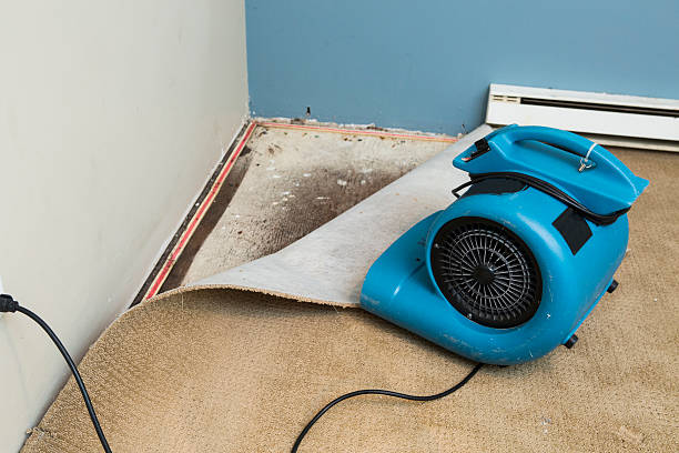 Best Commercial water damage restoration  in Margate, FL